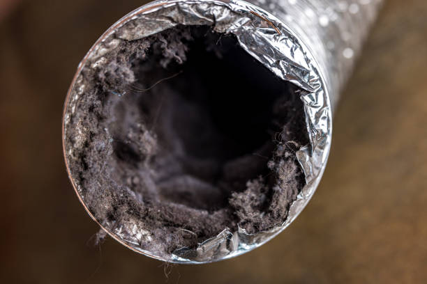 Best Air Duct Cleaning Near Me  in Boonville, IN